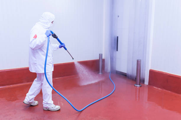 Mcgaheysville, VA Pressure Washing Company